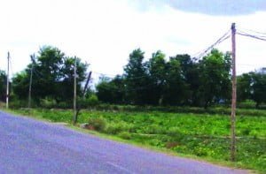 24-06-15 Faizabad - Bamboo electricity poles web