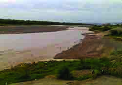 250px-Ghaggar_river_in_Panchkula