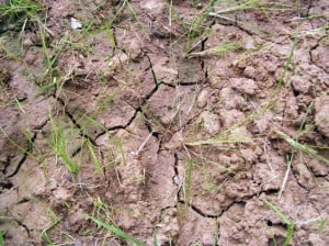 19-09-13 Kshetriya - Drought