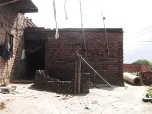 10-10-13 gaav gopour