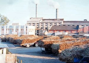 12-12-13 Kshetriya - Sugarmill in UP