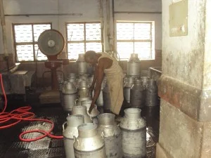 parag milk dairy