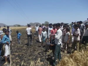 फसल की आग बुझाते किसान 