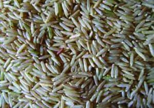 राशन के चावल 