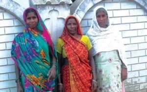 01-07-15 Maya - Tandauli Pension web