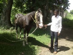 अपने घोड़े के साथ राम