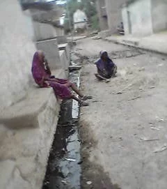 gao se khabar photo   EDsafayi