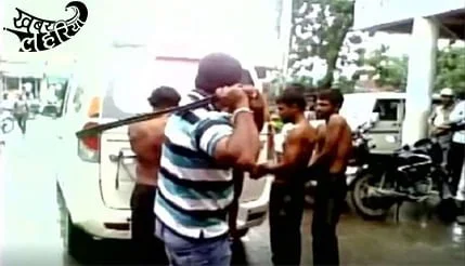 gujarat-cow