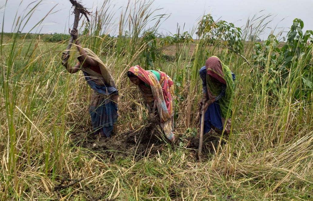 women farmers