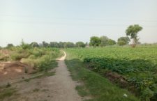 Many gram panchayats of Bundelkhand imprisoned due to lack of way