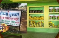 Ambala-Morabba's business opportunities for health