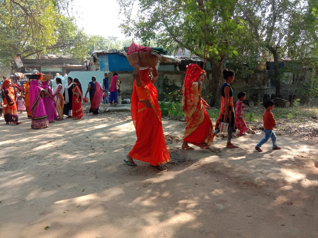 women in mahoba worshiping amla tree