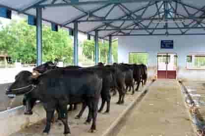 MNREGA-animal-shed-scheme-2020