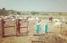 Anna animals are being starved to death in Basinha village Gaushala