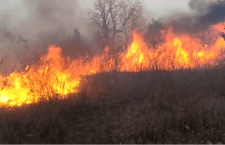 Fire in Bargarh valley IN CHITRAKOOT