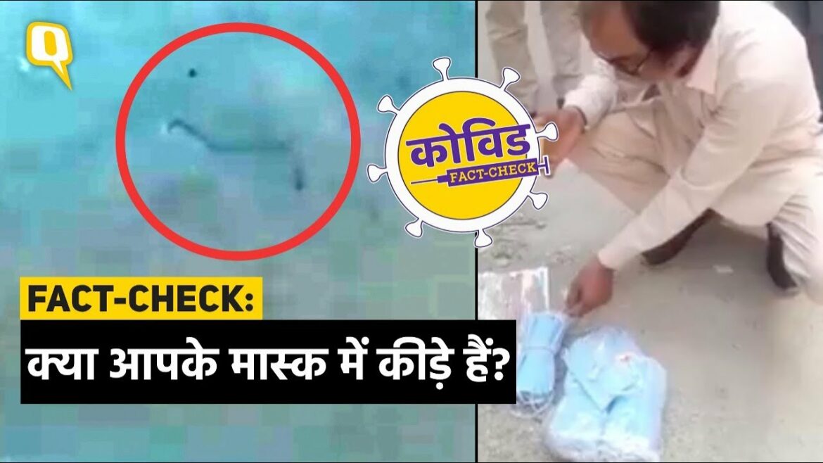 क्या मास्क में छिपे होते हैं कीड़े