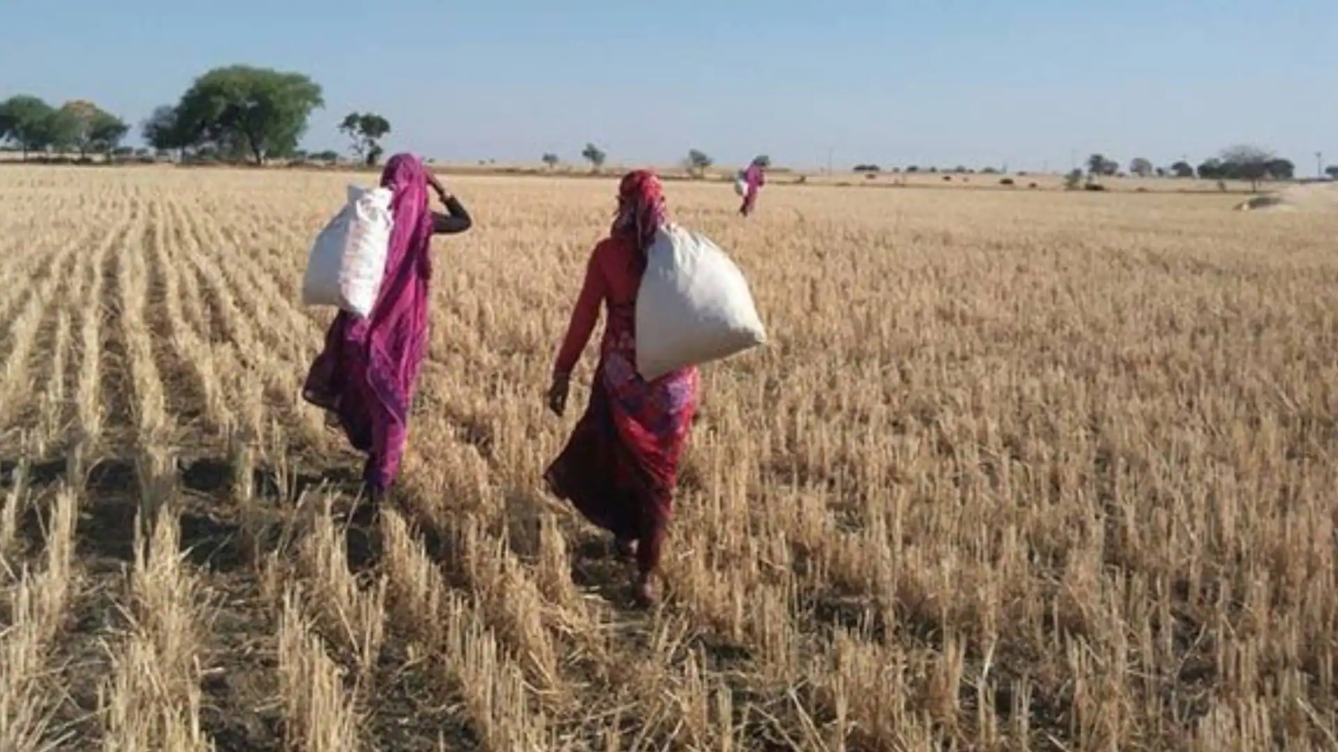 women farmer picture by khabar lahariya