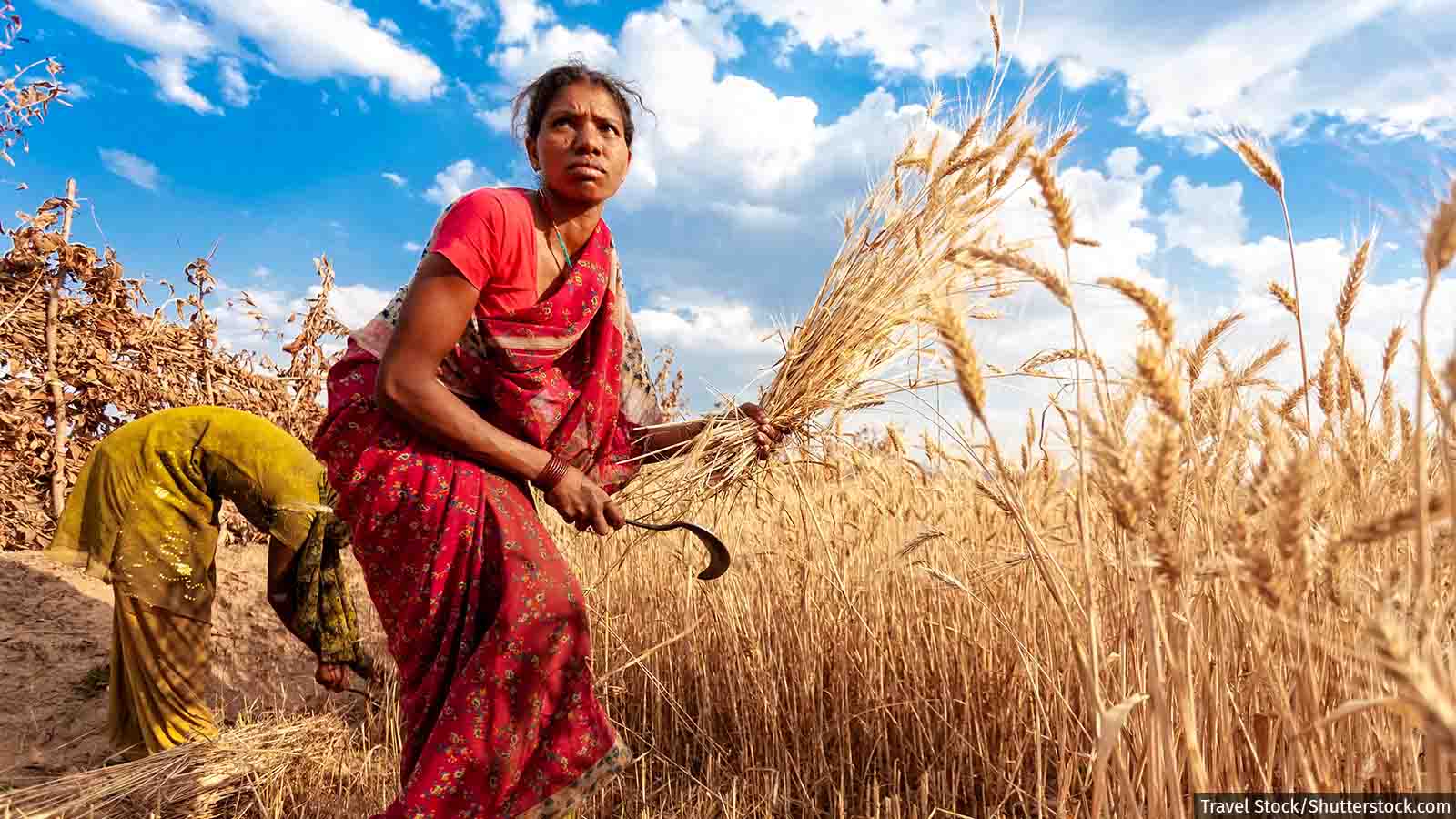 Women Farmers Are Losing Jobs Khabar Lahariya 