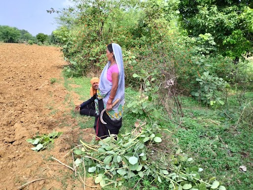 women farmer 