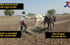 bundelkhand news, Crop damage due to lack of rain, farmers preparing for sowing