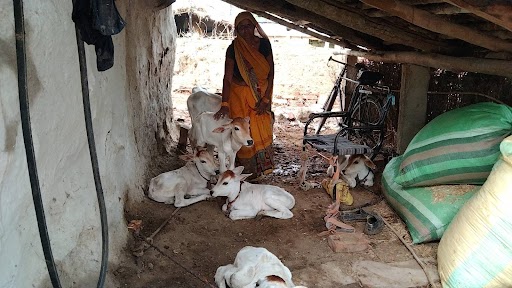 uttar pradesh news, Gomti Devi, a female farmer of Chitrakoot district, is making organic fertilizer