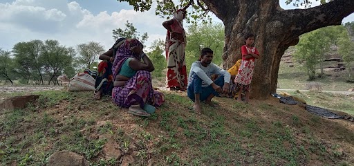 Chitrakoot news, People forced to defecate in other' fields due to lack of toilets in the village