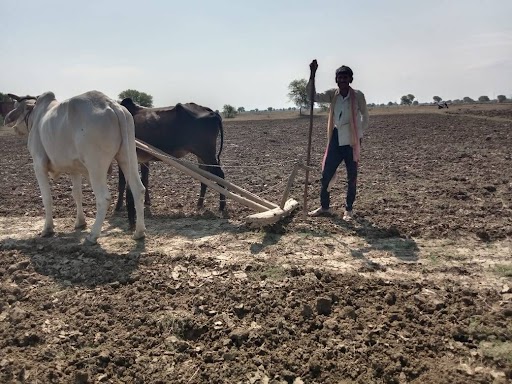 bundelkhand news, Crop damage due to lack of rain, farmers preparing for sowing