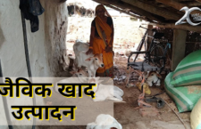 uttar pradesh news, Gomti Devi, a female farmer of Chitrakoot district, is making organic fertilizer