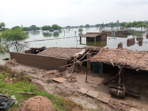 Hamirpur news, Entire village submerged in flood, people forced to live on road