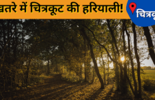 uttar pradesh news, mass movement of Tree plantation being run to save trees in Chitrakoot district