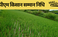 Hamirpur news, Farmers did not get installment of pm kisan samman nidhi for 1 year