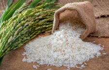India may impose ban on export of rice, there may be a big impact on farmers