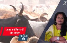 bundelkhand-news-why-gaushala-is-becoming-a-death-pool-for-cows-watch-the-kavita-show