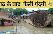 Chitrakoot news, People are getting sick from the dirt spread in the village due to floods