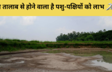 Ambedkar Nagar news, A pond will be built under Amrit sarovar scheme