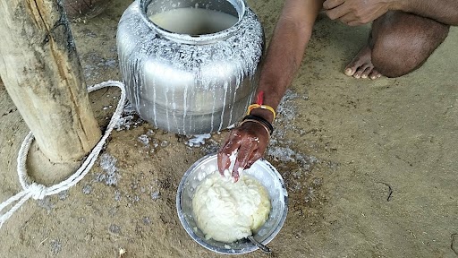 Panna news, see Unique way to make Lassi Matha / Buttermilk from curd