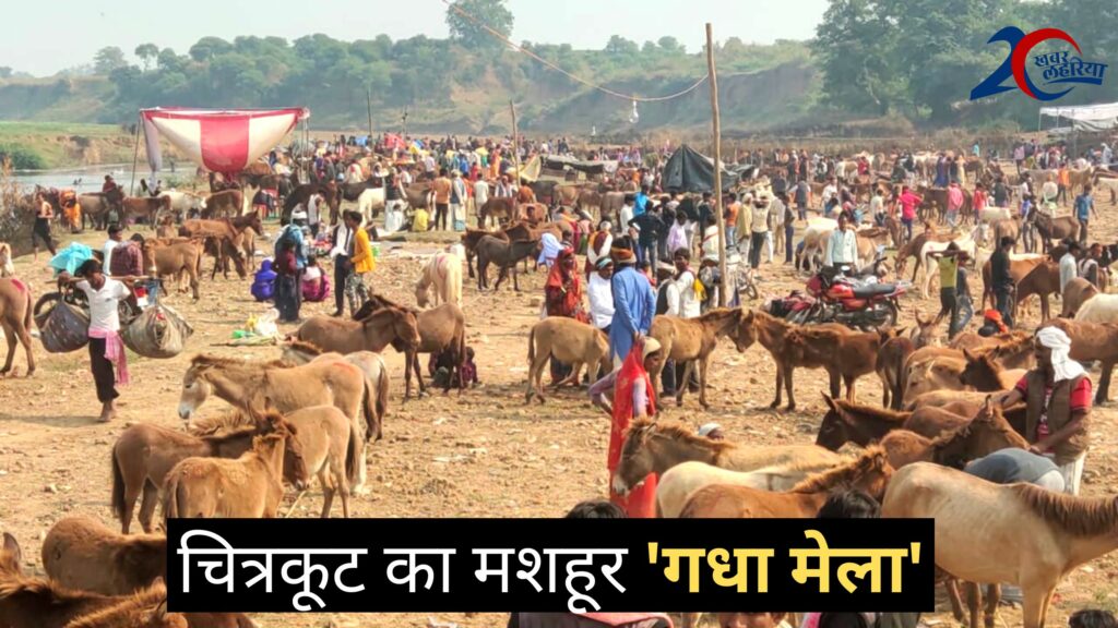 up news, Donkey Fair held in Chitrakoot district after Diwali , donkeys are named after film actors
