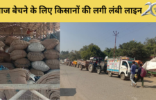 Mahoba news, Farmers are struggling for the purchase of grain