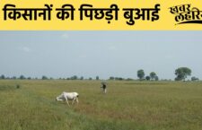Banda news, Delay in sowing of crops due to excessive rains, increased the concern of farmers