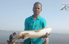 Kaushambi news, fishermen became unemployed