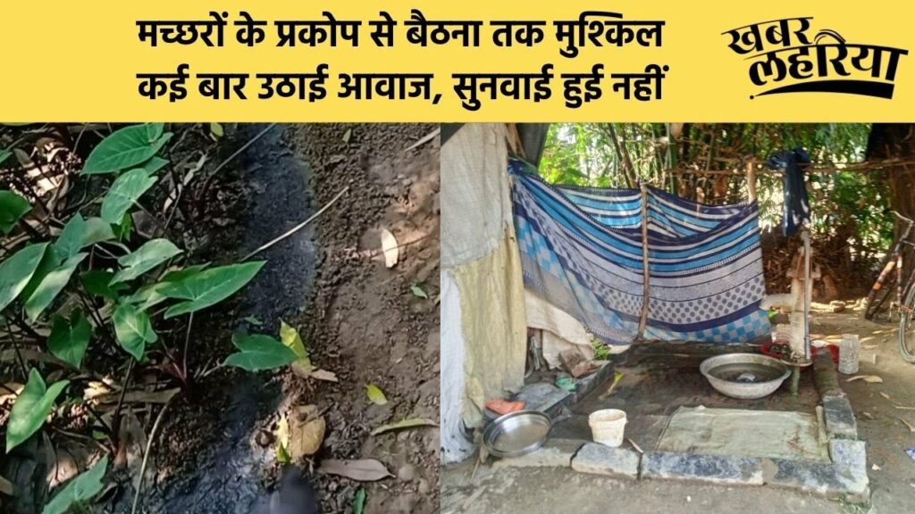 Ayodhya news, No drain, villagers are collecting dirty water by digging pits in front of their houses