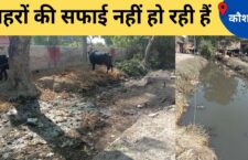 Kaushambi news, despite cleaning by the department, canals never stay clean
