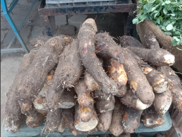  benefits of Elephant Foot Yam vegetable, know which diseases it keeps away