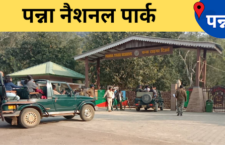 Panna news, Tourists from many countries come to visit 'Panna National Park'