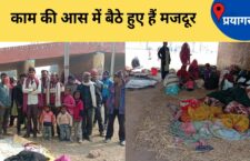 Prayagraj news, on the name of the fair, labourers were given the bluff of giving work