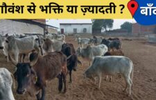 Animals are suffering from severe cold in UP, no proper facilities in cow shelters