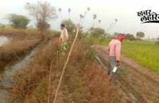 Chitrakoot news, Farmers' crops ruined due to release of water from Ohan Dam