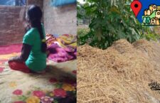 Villagers make straw bed during winter to sleep