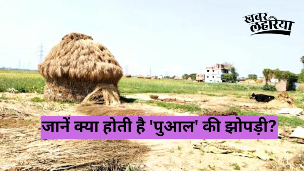 know about the hut/ puwal made of paddy straw, gaon ki khasiyat