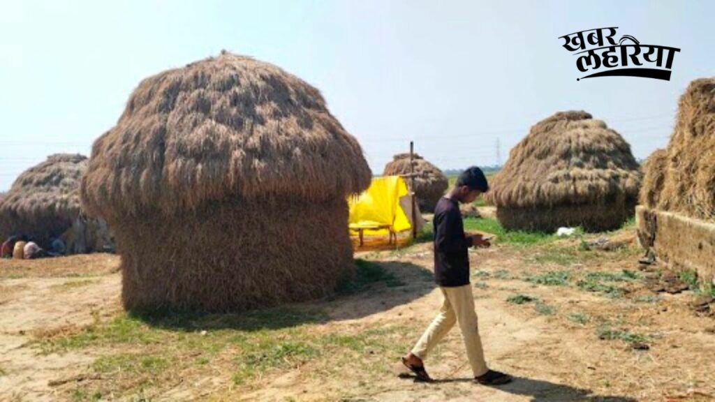 know about the hut/ puwal made of paddy straw, gaon ki khasiyat